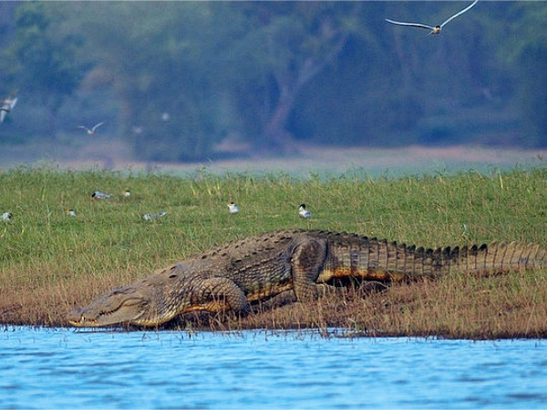 Kabini River