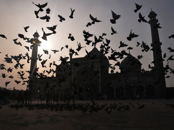 Jama Masjid, Delhi
