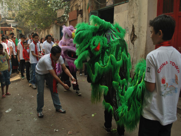 New Year Festival- Chinese Dragon