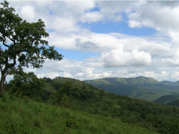 The Biligiriranga Hills or B R hills