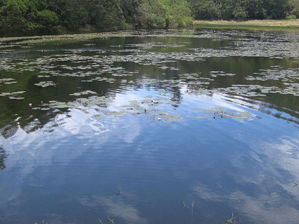 BERIJAM LAKE, KODAIKANAL