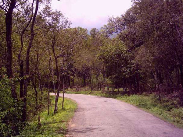 Marayur or Marayoor