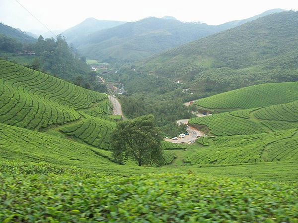 Devikulam, Kerala