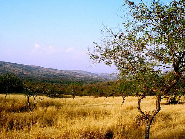 Ranthambore National Park