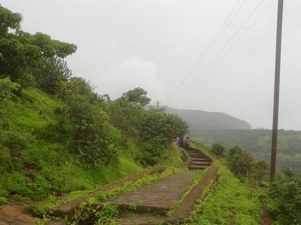 The Stone Steps