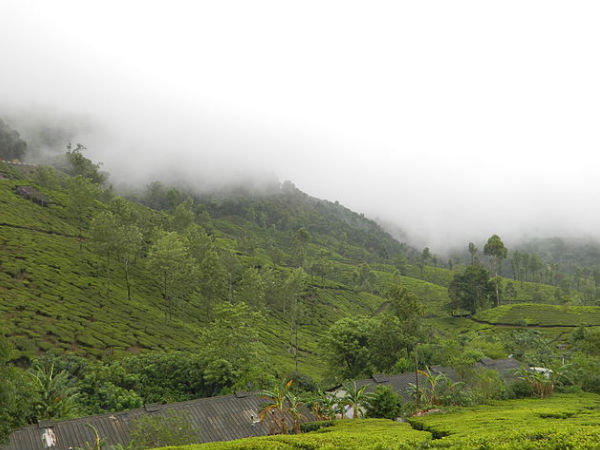 Munnar