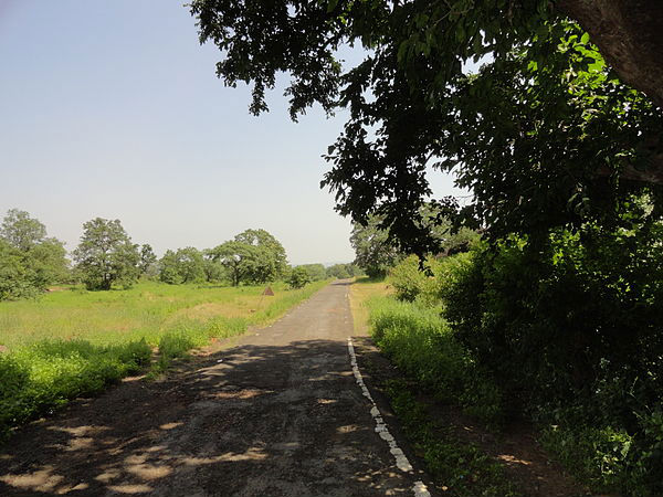 Ratapani Tiger Reserve