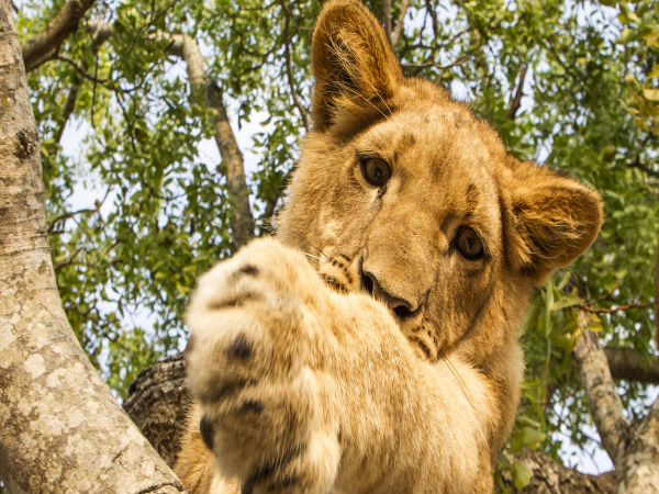 Kuno Wildlife Sanctuary