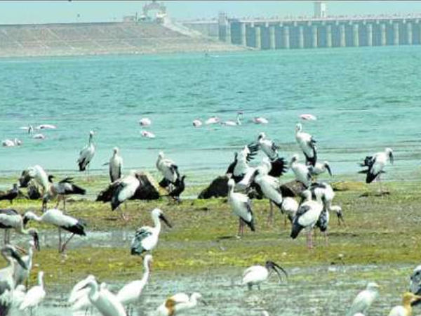 Jayakwadi Dam