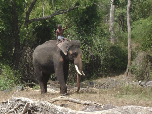 Mudumalai