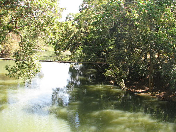 Old Bridge