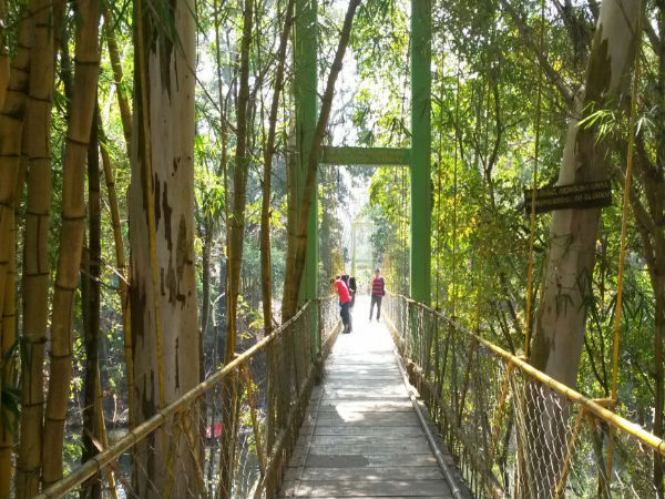 Hanging Bridge