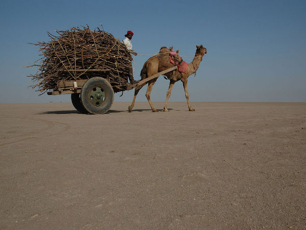 Rann of Kutch