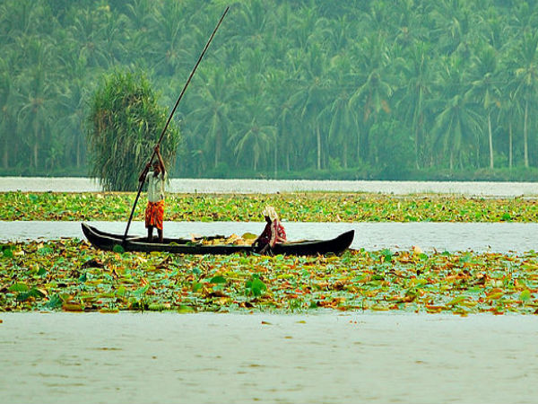 Vellayani Lake
