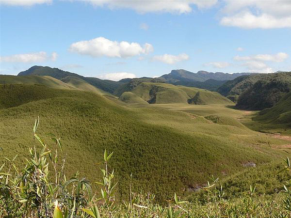 Dzukou Valley