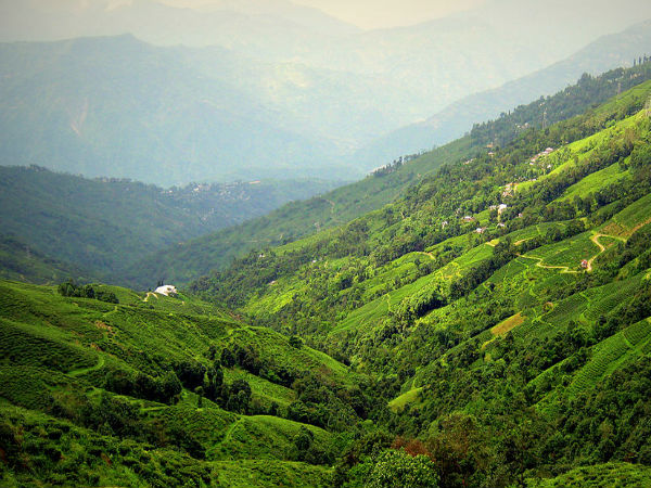 View of Darjeeling, West Bengal, India available as Framed Prints, Photos, Wall Art and Photo Gifts