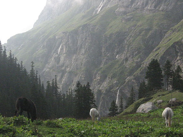 Parvati Valley