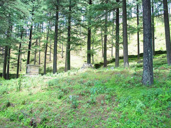 Ranikhet