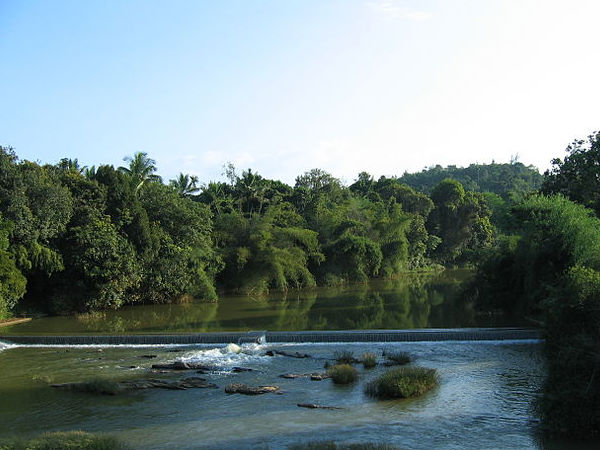 Wayanad