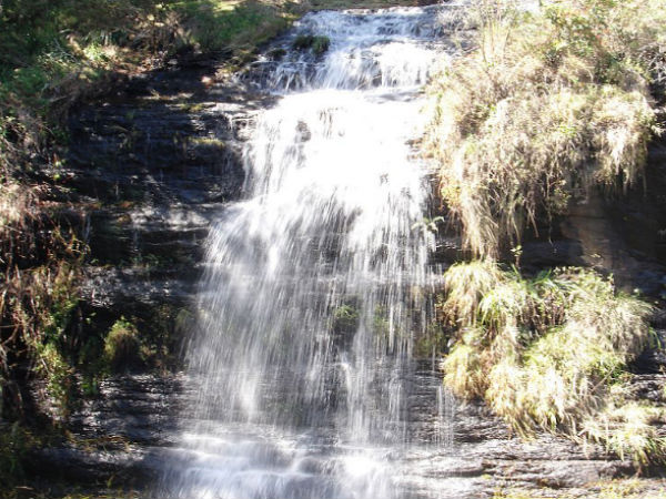 Fairy Falls