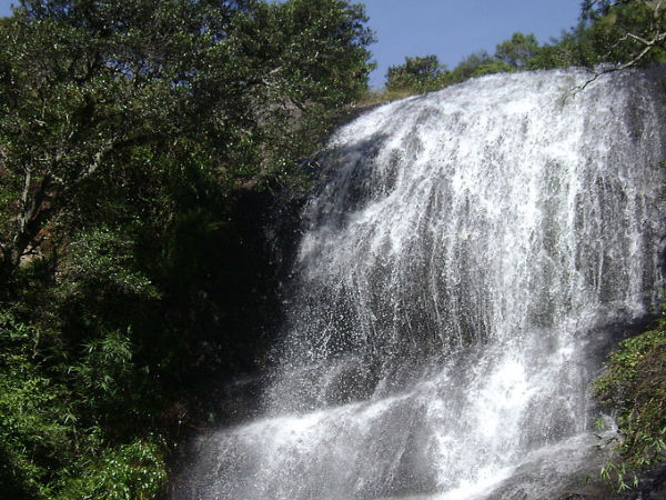 Bear Shola Falls