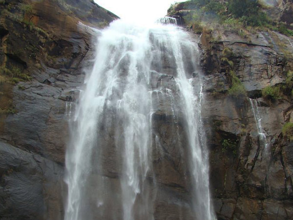 Agaya Gangai