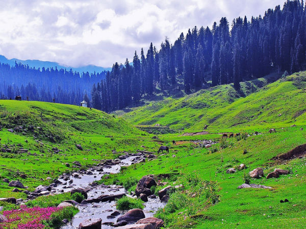 Gulmarg in Summer