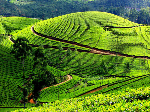 Munnar
