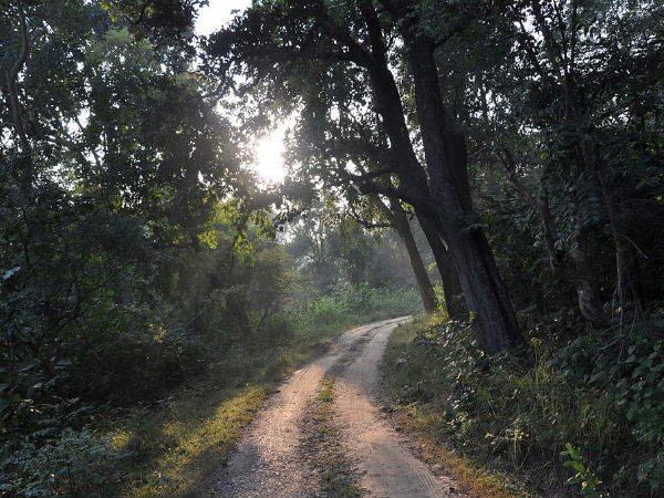 Jim Corbett National Park