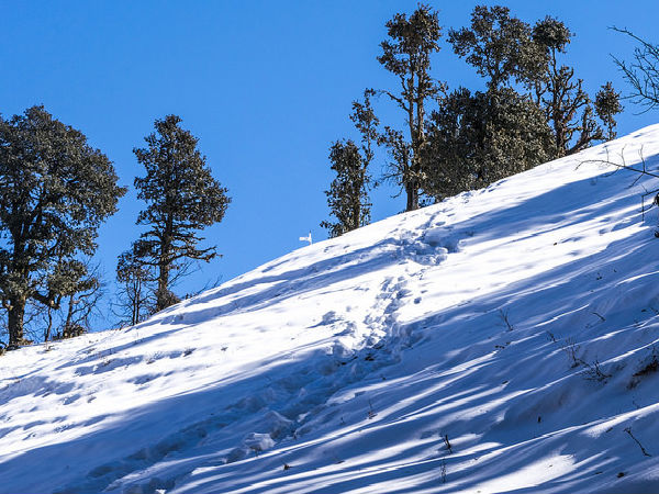 Nag Tibba Trek