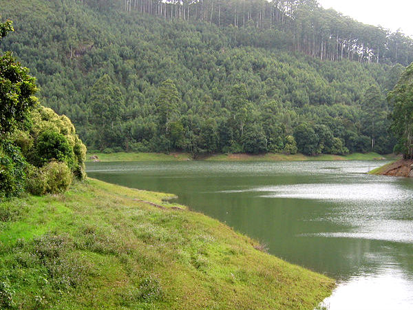 Eco Point