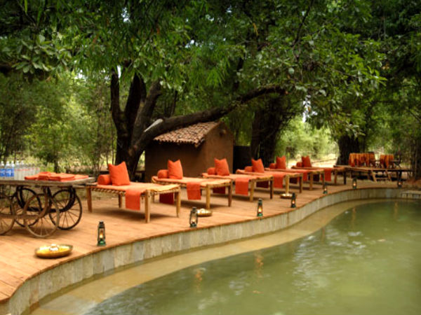 Mahua Kothi
