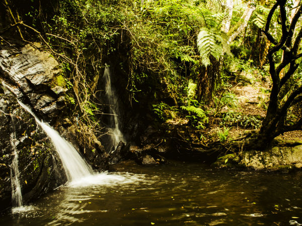 Ever Popular Kodaikanal