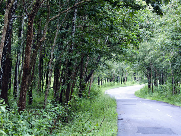 Bandipur