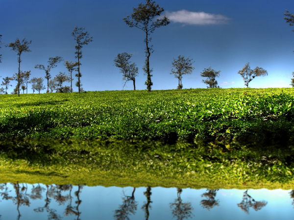 Coorg