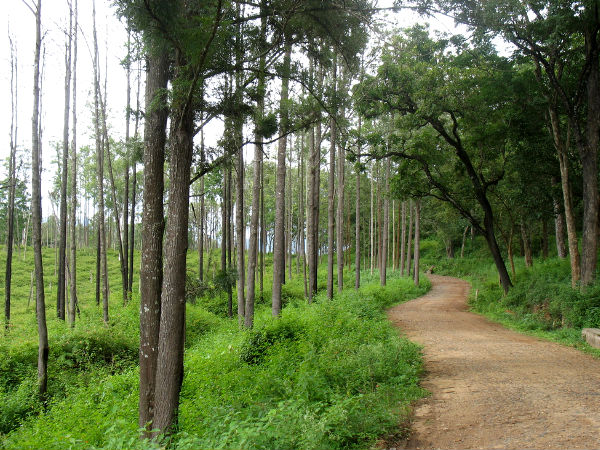 BR Hills