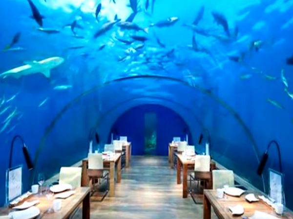 Best Thai Restaurants In Bangalore Best Thai Restaurants In Bangalore