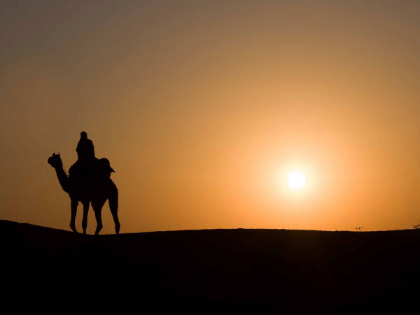 Exciting Camel Safari in Thar