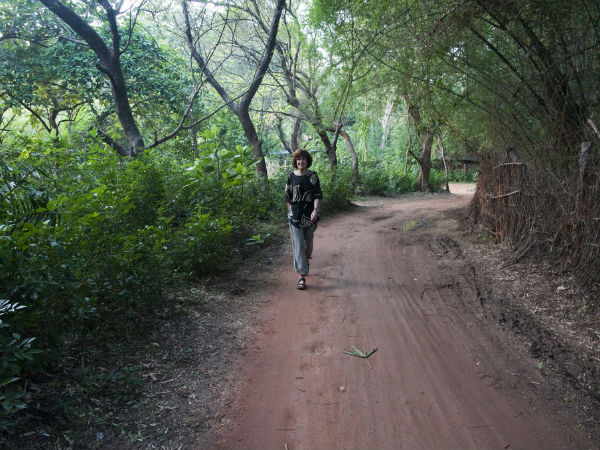 Rediscover Yourself at Auroville
