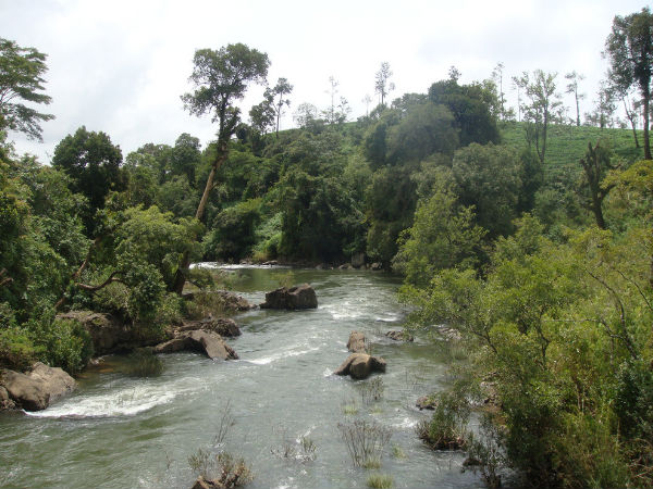 Find Out the Hidden Trails in Coorg