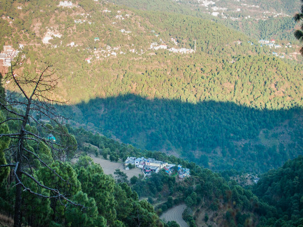 Nature Camping in Kasauli