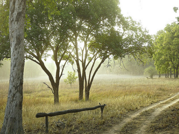 Bandhavgarh National Park