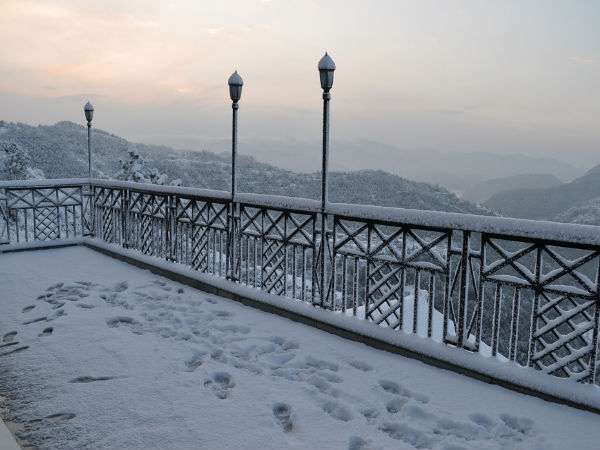 Shimla