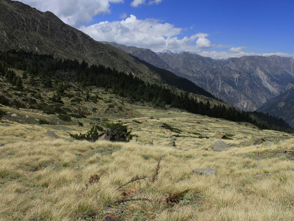 Kalpa