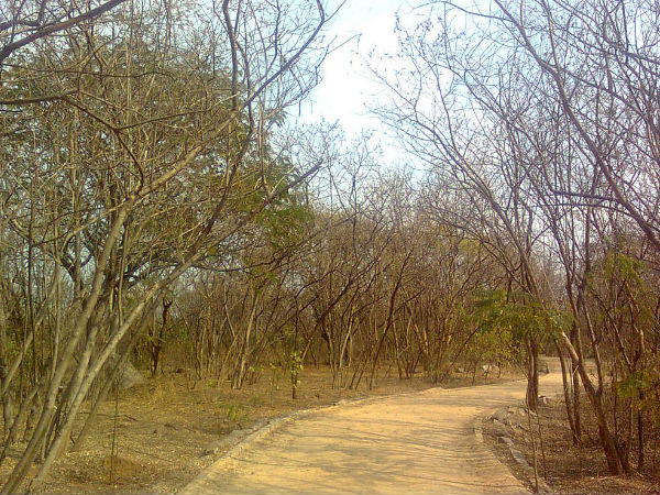 KBR Park