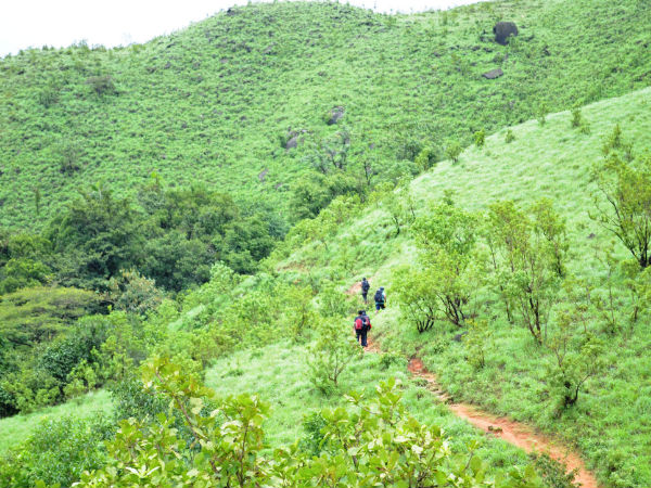 Kumara Parvatha - Trekking