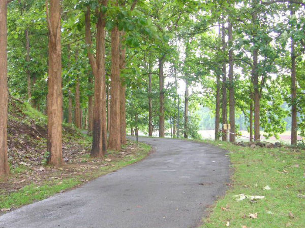 Parambikulam Wildlife Sanctuary