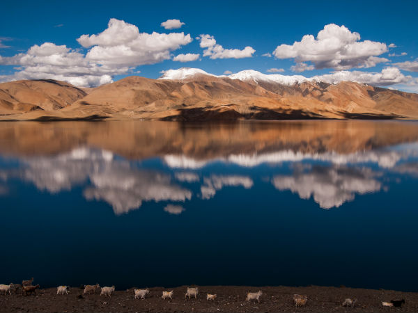 Tso Moriri Lake