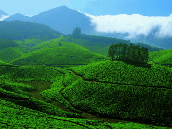 Devikulam