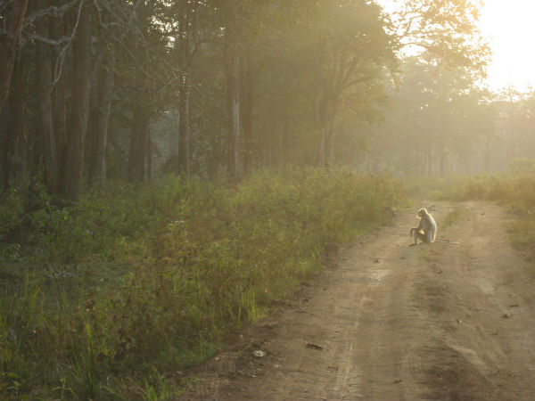 Wayanad
